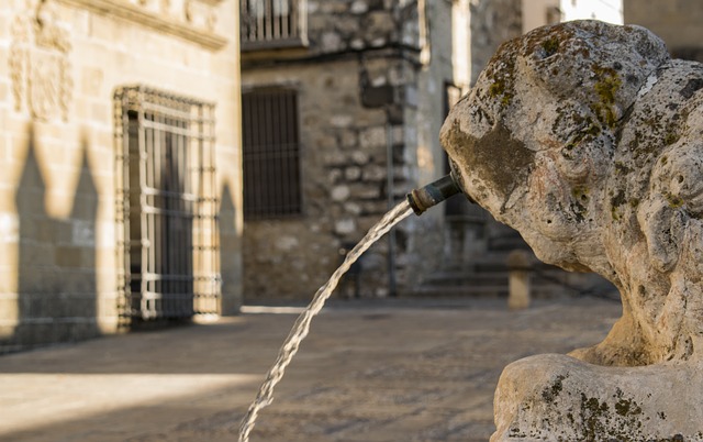 visitas guiadas culturales a Baeza